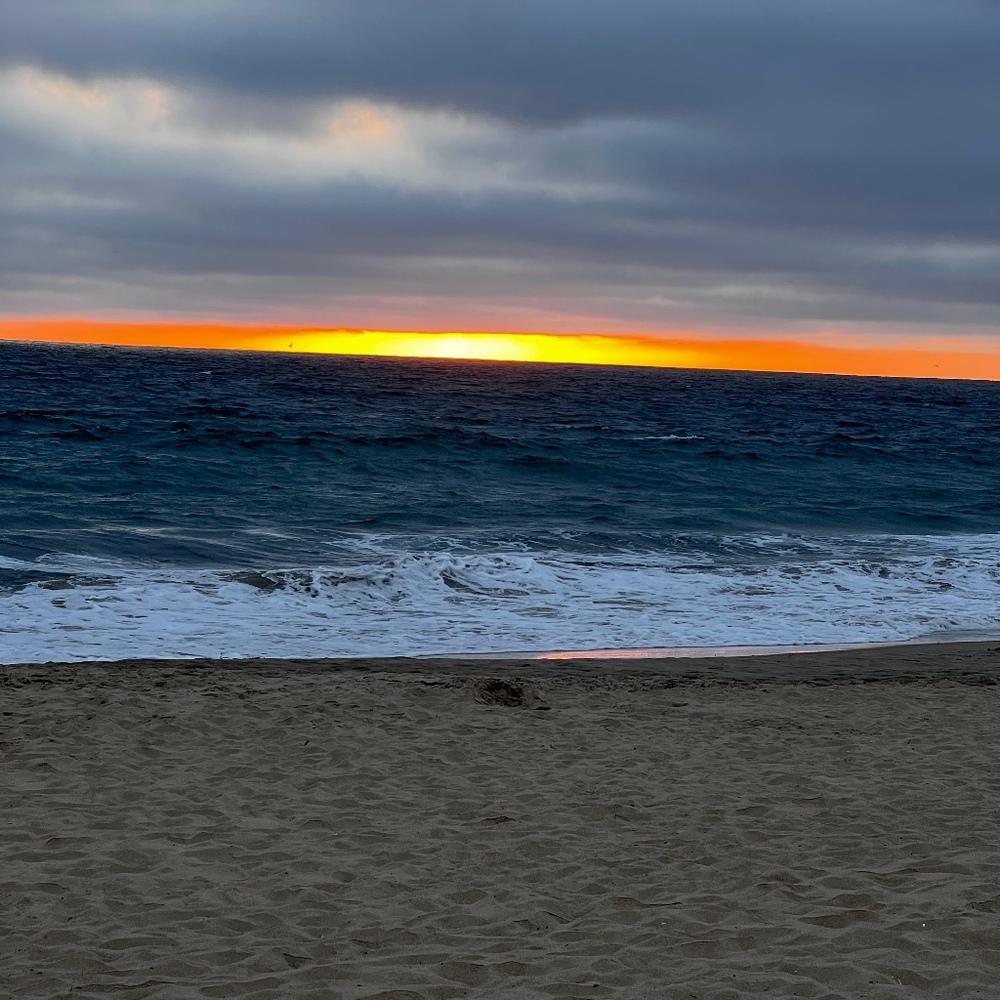 Meet your Posher, Flavia